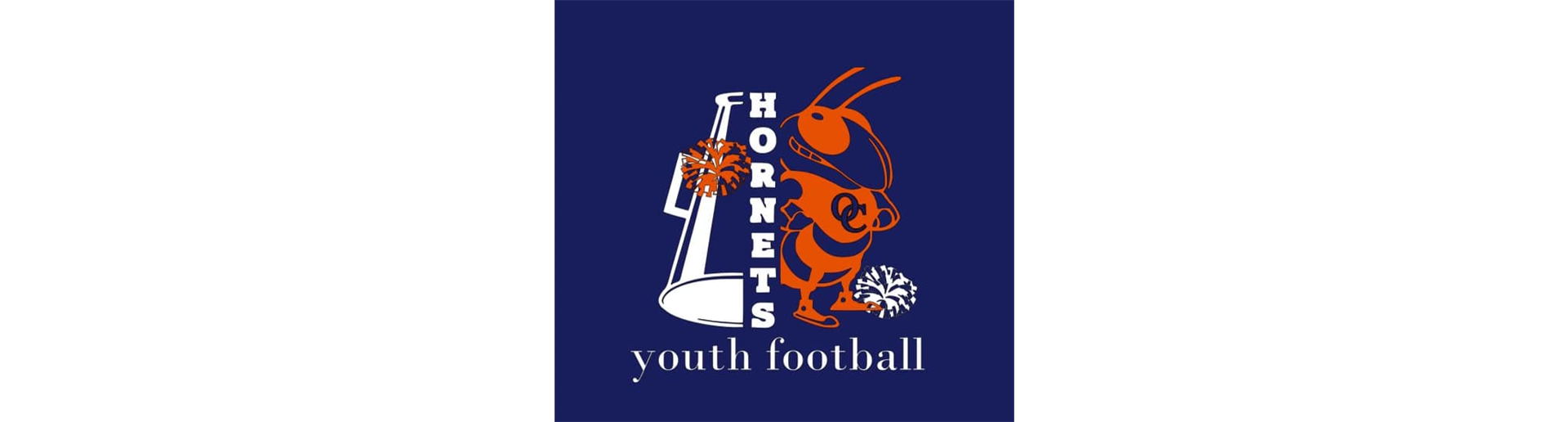 Lady Hornet Cheer Returns this Fall '23!